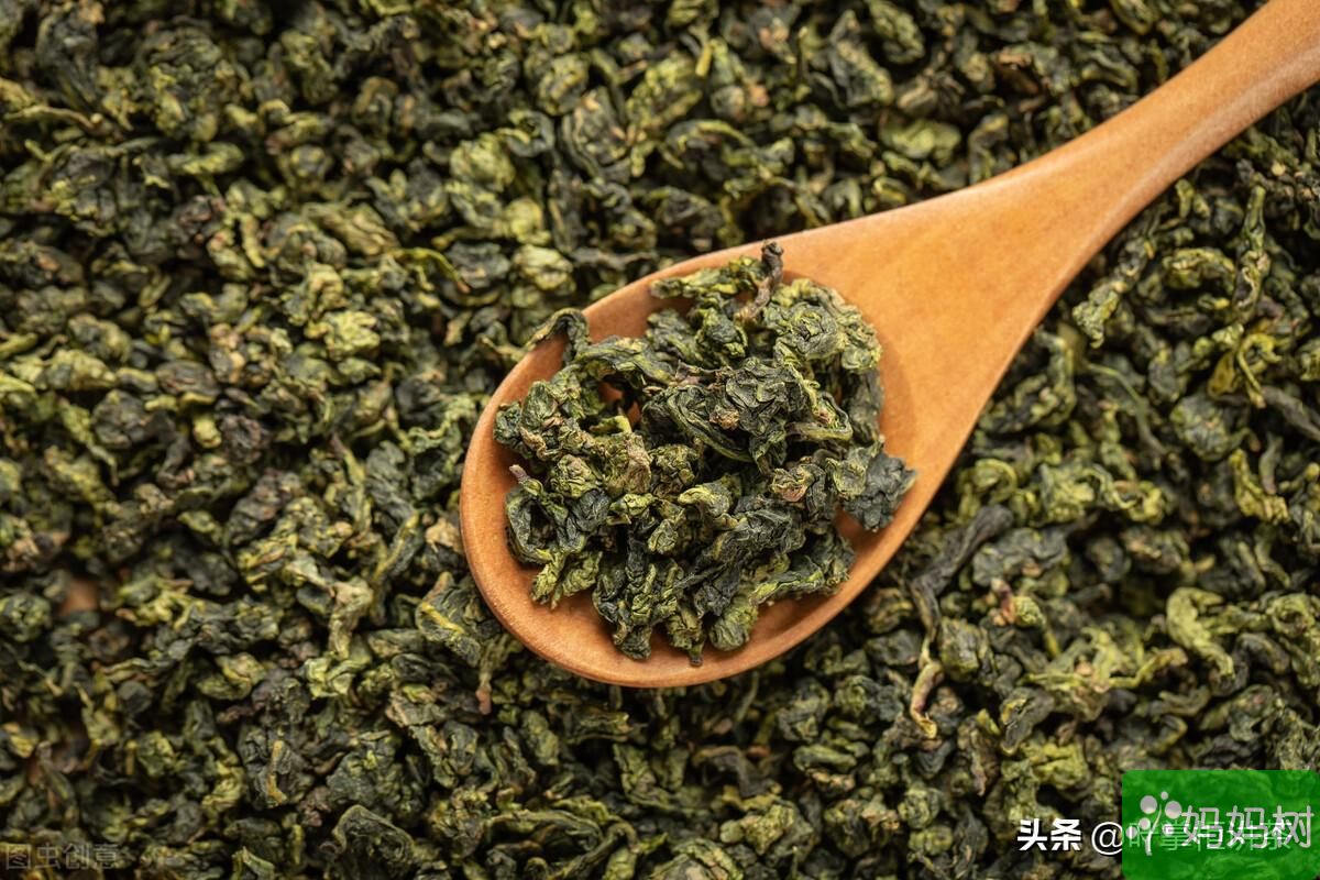 铁观音属于绿茶吗（铁观音茶叶是红茶还是绿茶）(图1)
