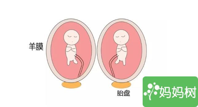 单卵双胎长得一模一样正常吗