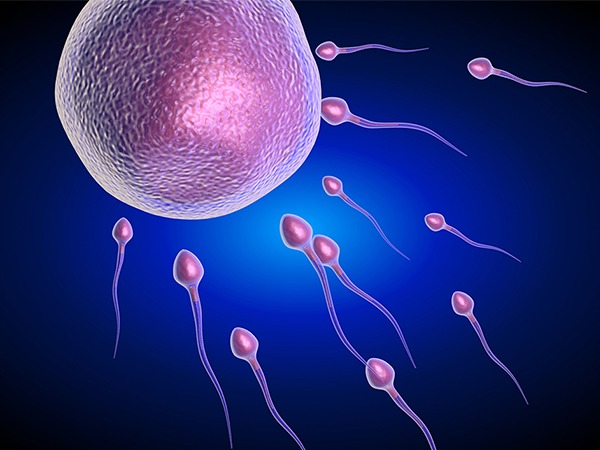 左右卵巢卵泡多于10个会是什么病(左右卵巢卵泡多于10个可能患有何病？)